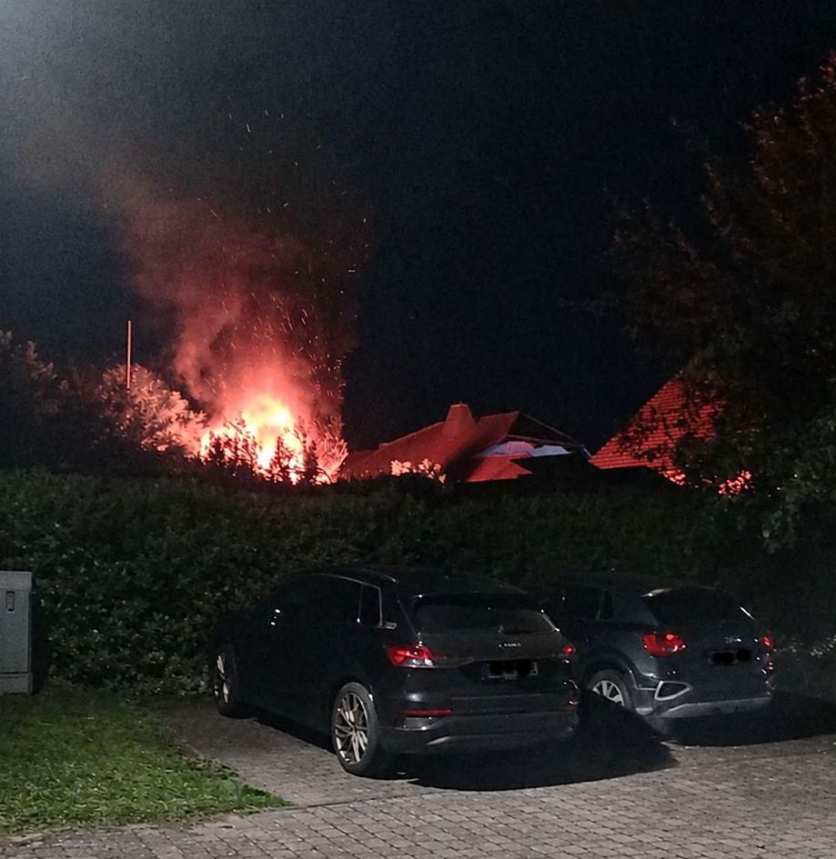 Brand 2